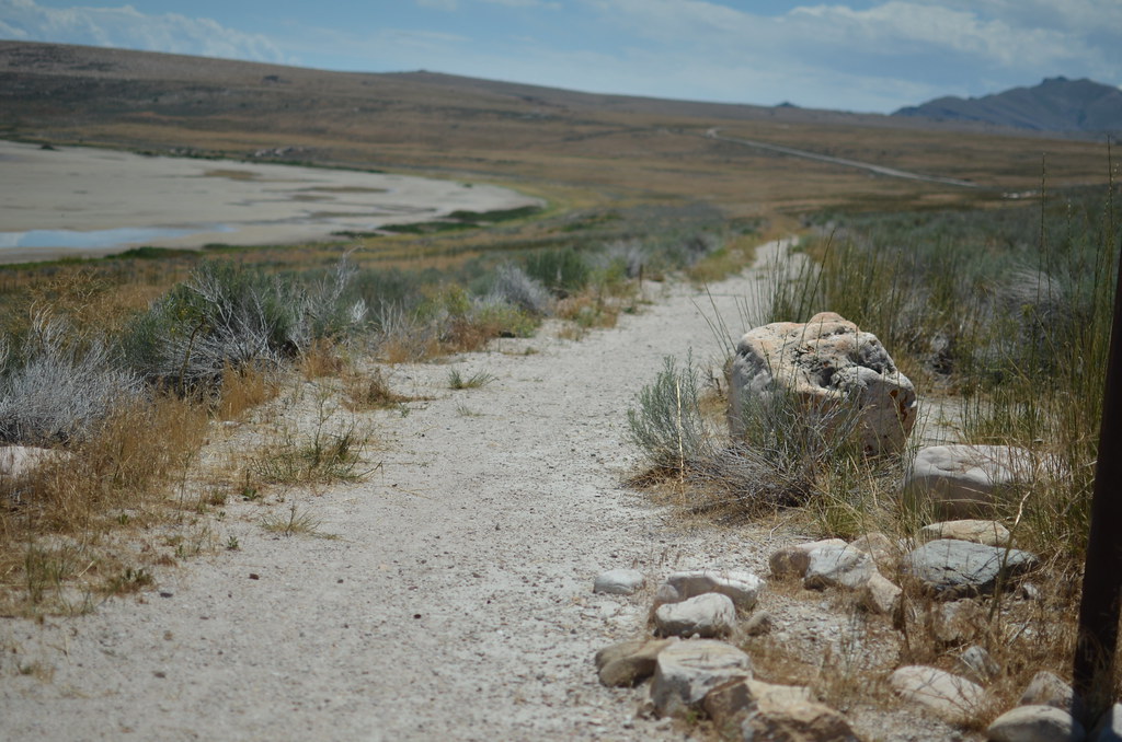 Antelope Island 303