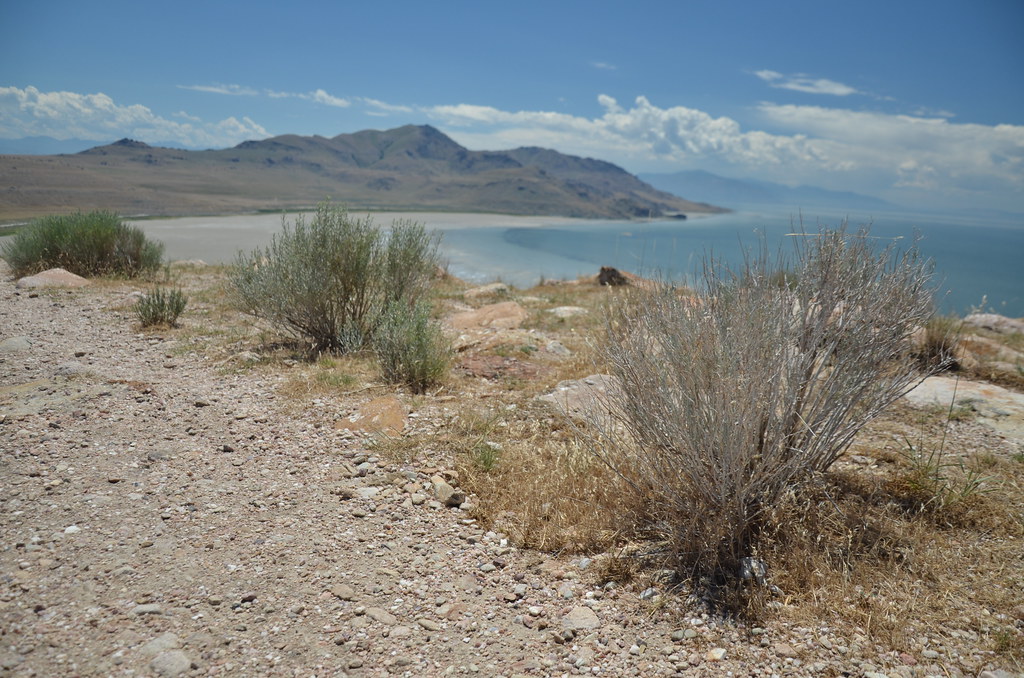 Antelope Island 256