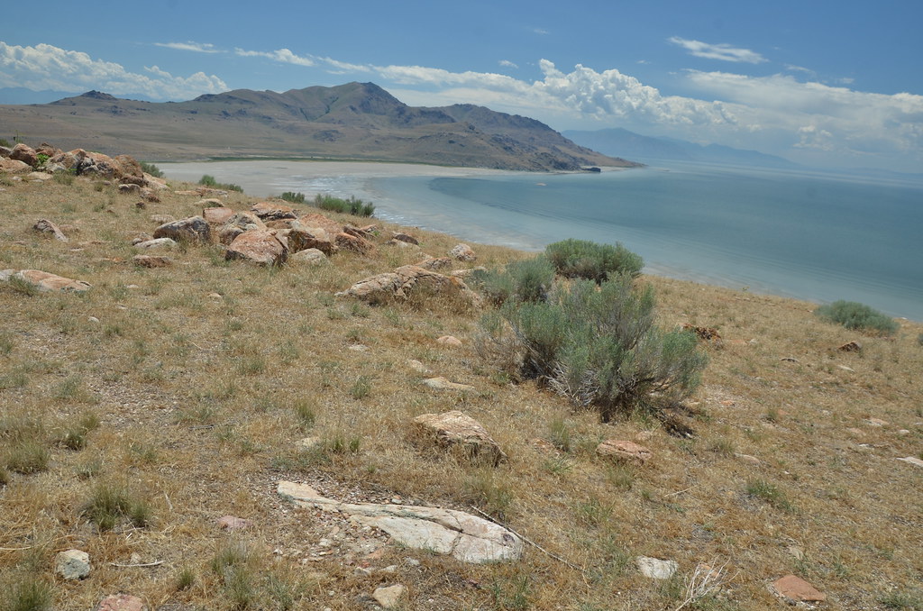 Antelope Island 253