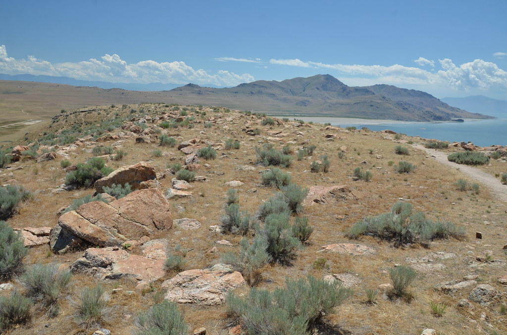 Antelope Island 240