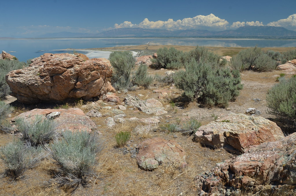 Antelope Island 229