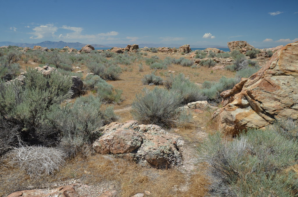 Antelope Island 228
