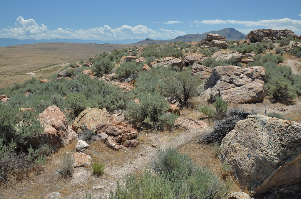 Antelope Island 227