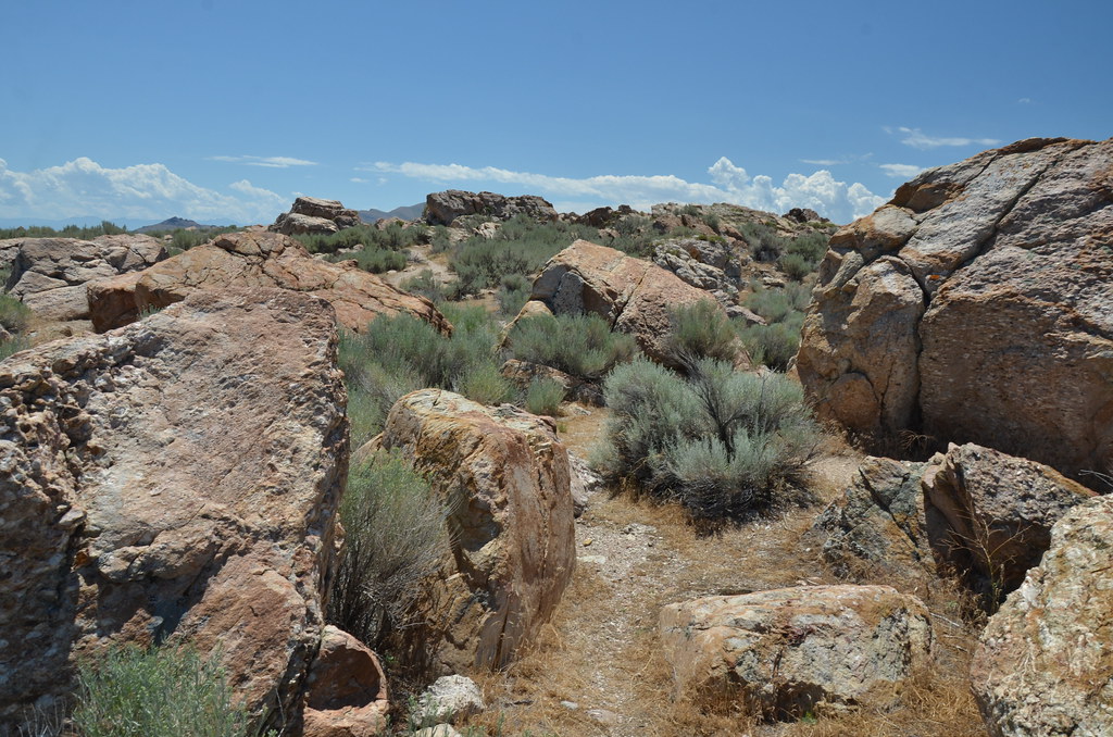 Antelope Island 224