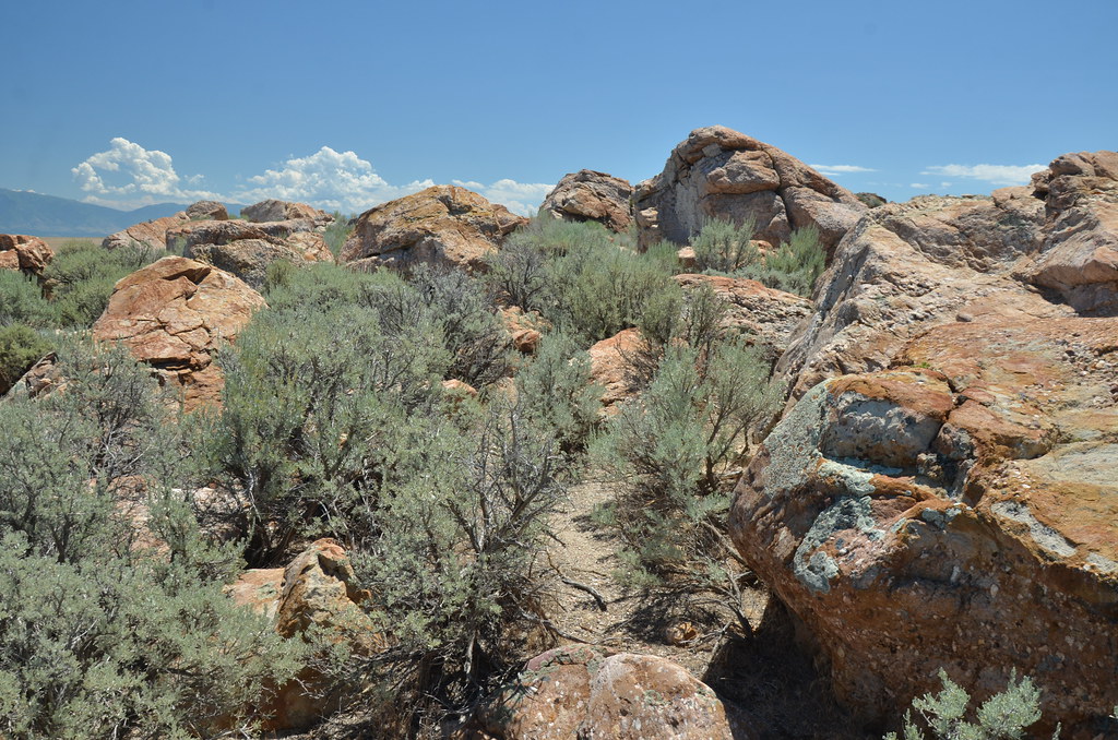 Antelope Island 221