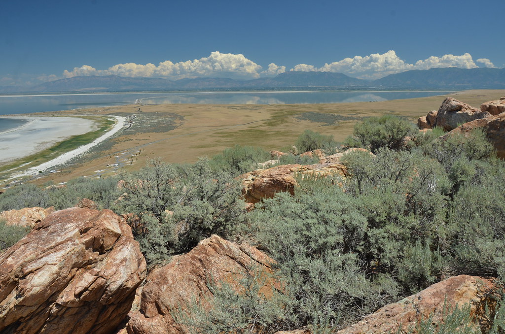 Antelope Island 220