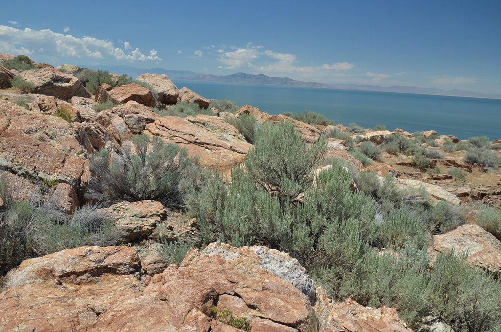 Antelope Island 214