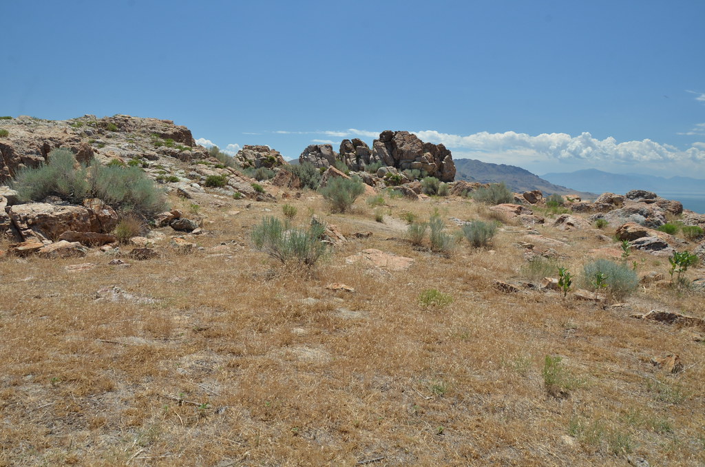 Antelope Island 201