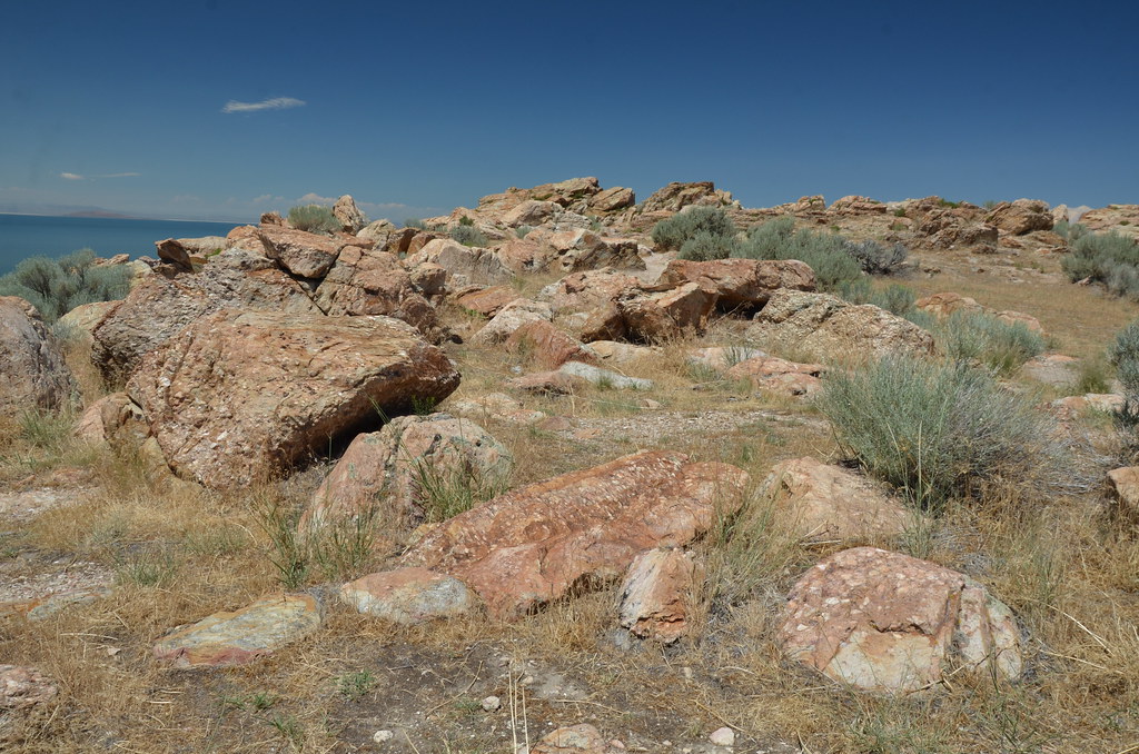 Antelope Island 194
