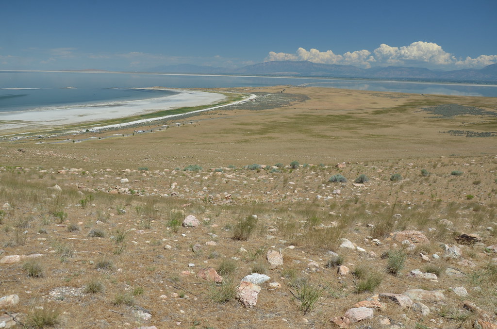 Antelope Island 173