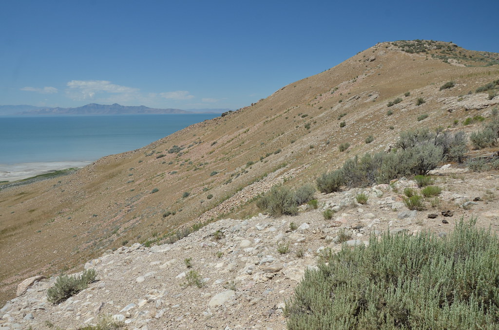Antelope Island 167