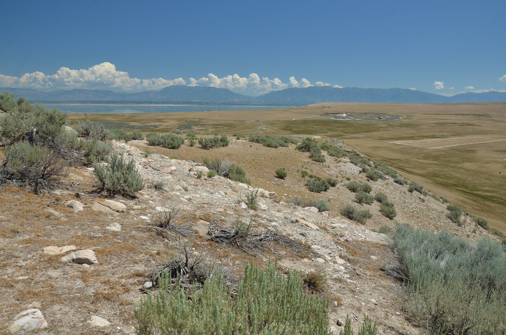 Antelope Island 158