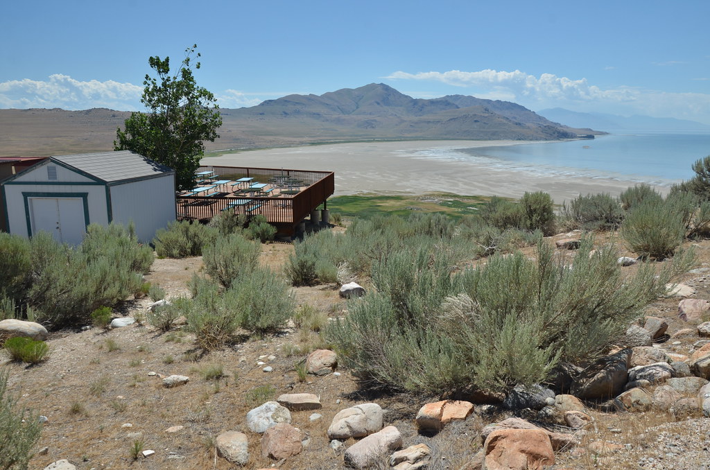 Antelope Island 147