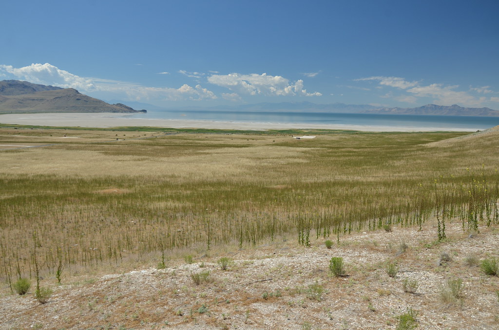 Antelope Island 132