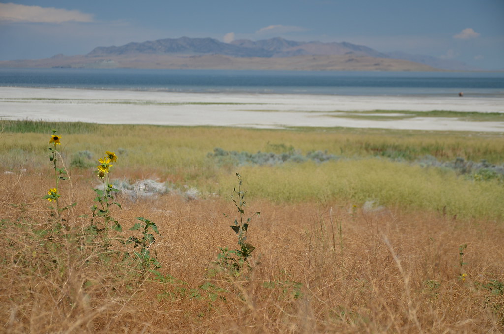 Antelope Island 120