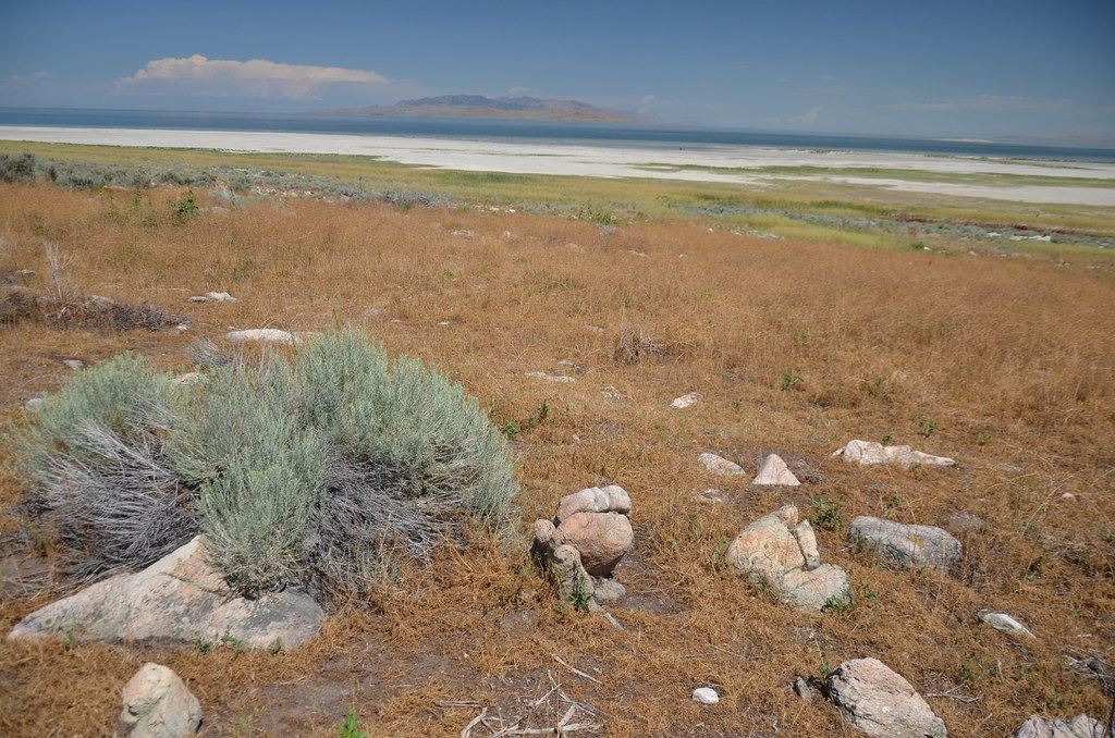 Antelope Island 116