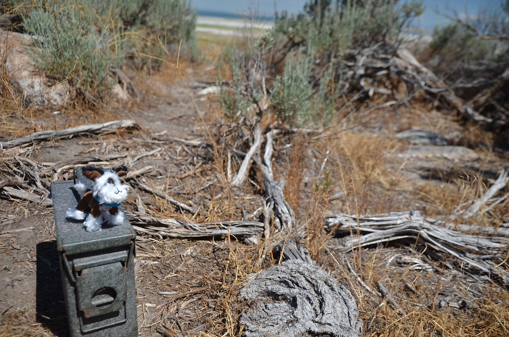 Antelope Island 111