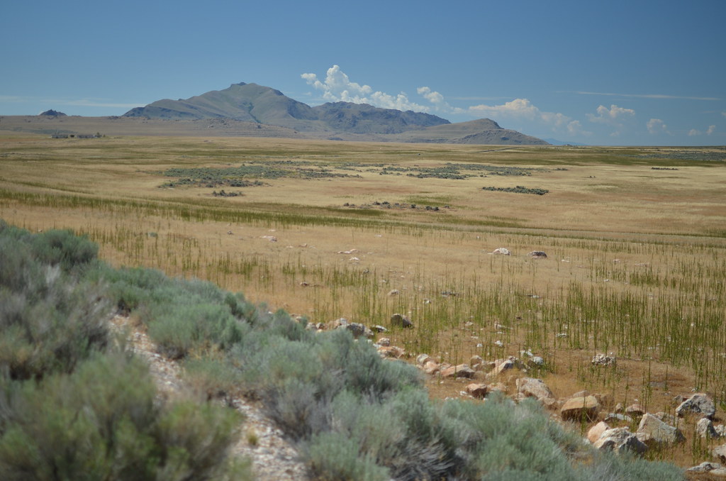 Antelope Island 093