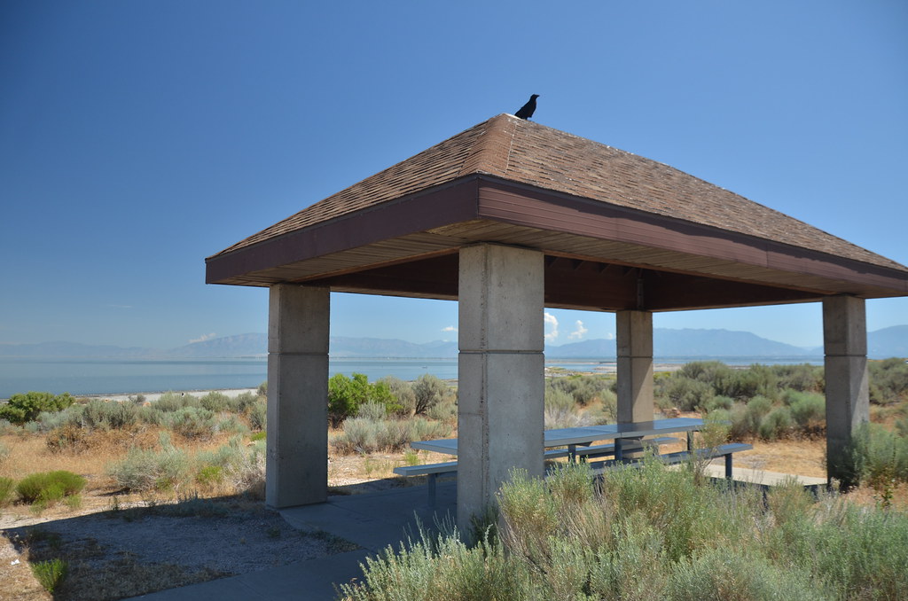 Antelope Island 081