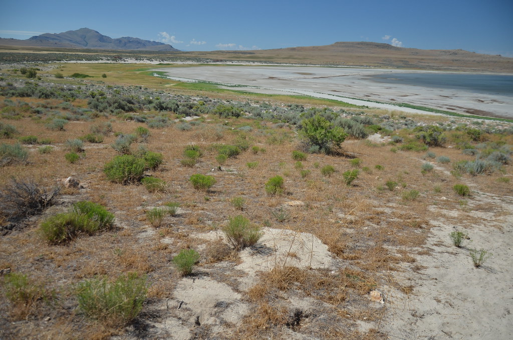 Antelope Island 077