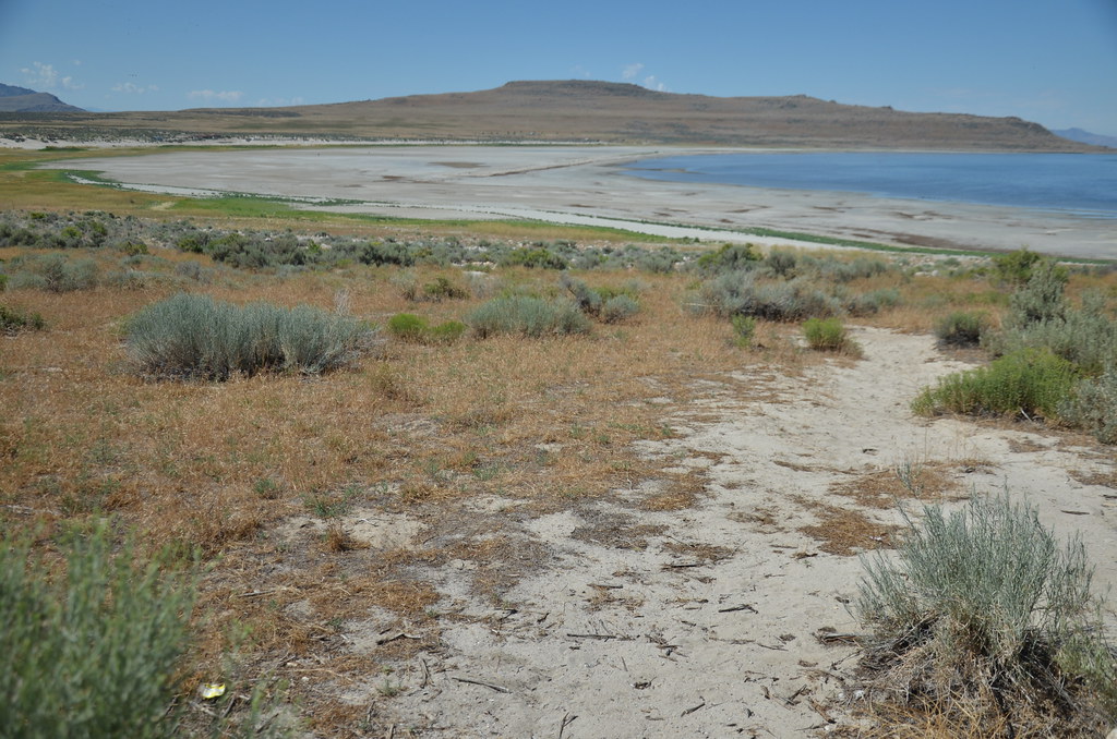 Antelope Island 075