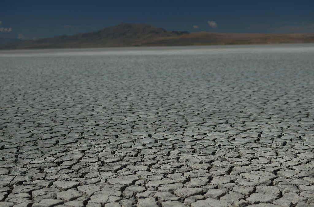 Antelope Island 046