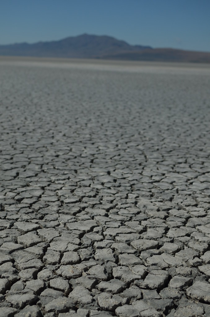 Antelope Island 043