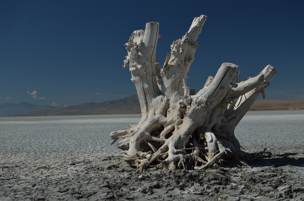 Antelope Island 028
