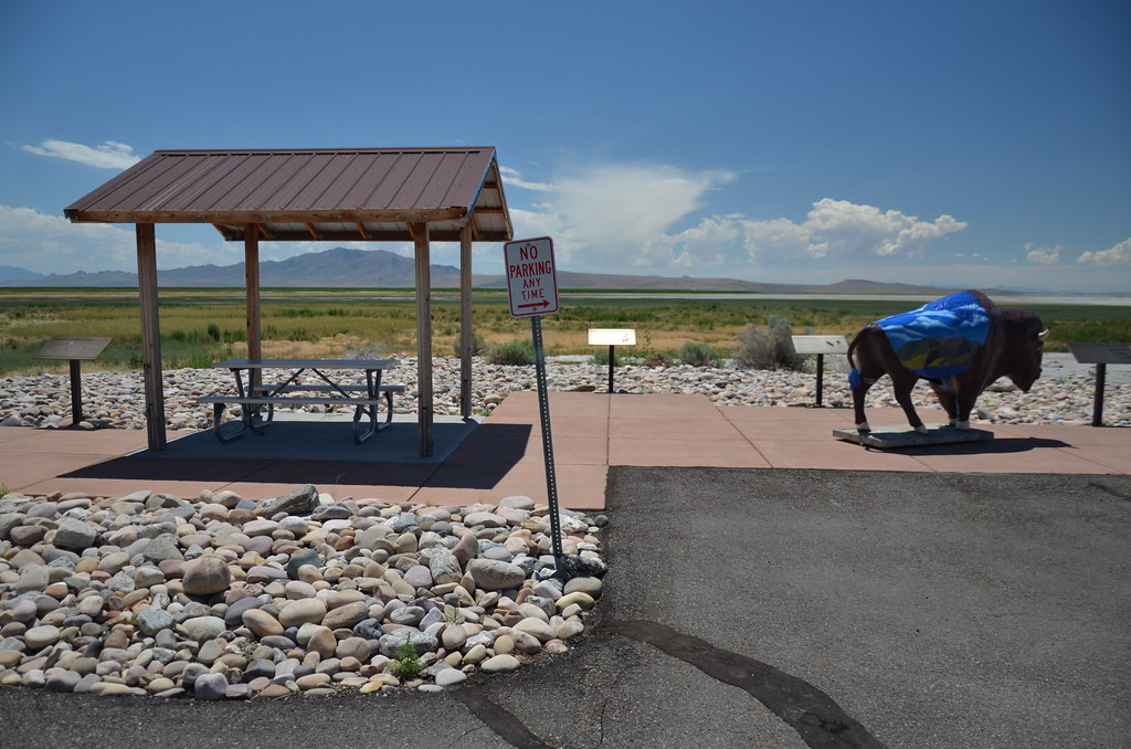 Antelope Island 367