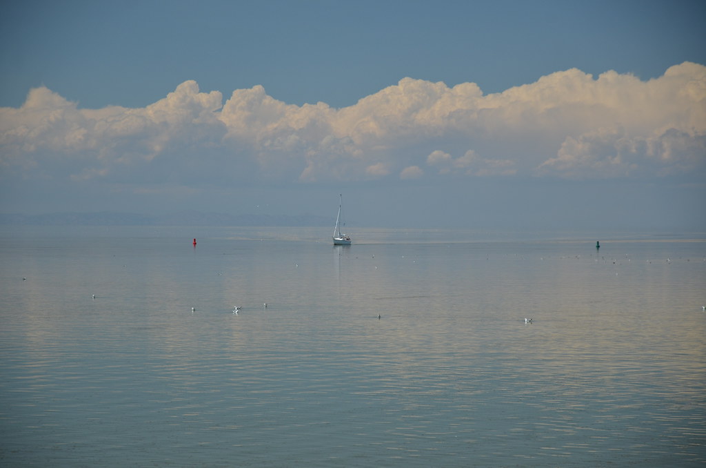 Antelope Island 354