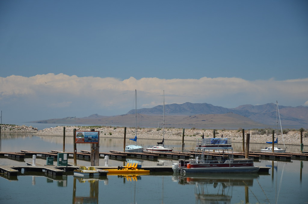 Antelope Island 341