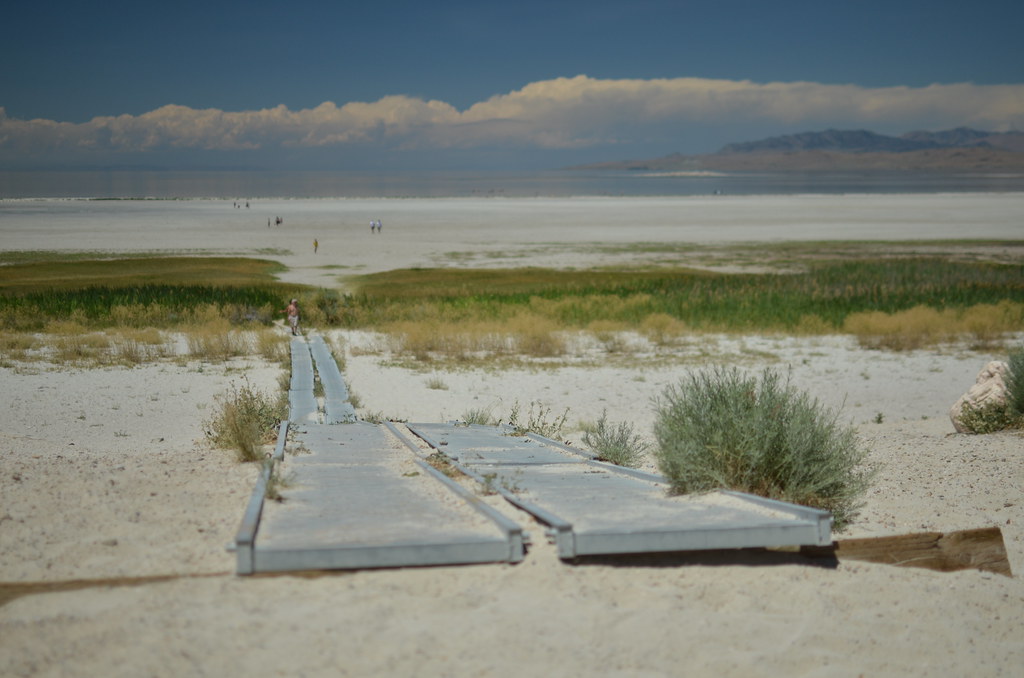 Antelope Island 321
