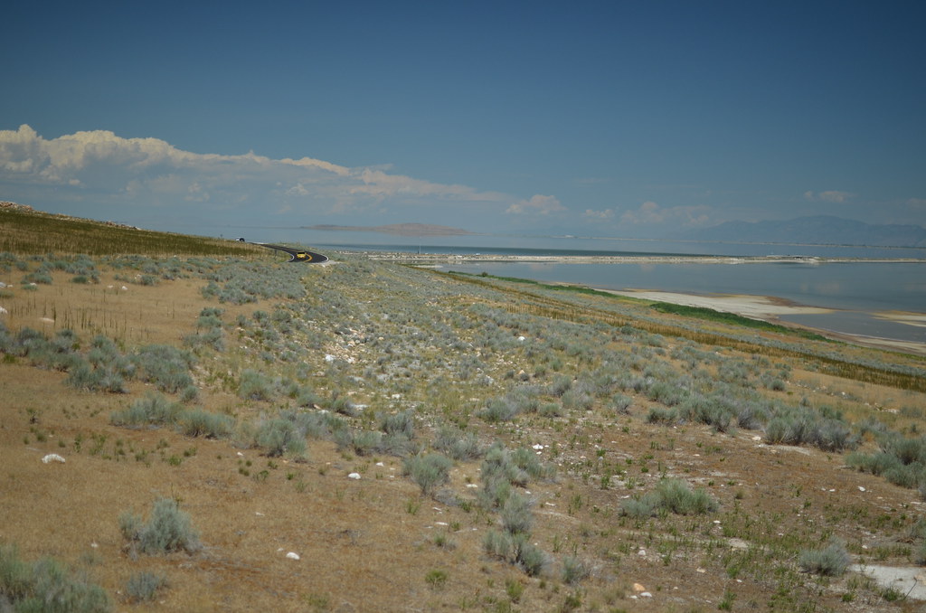 Antelope Island 301
