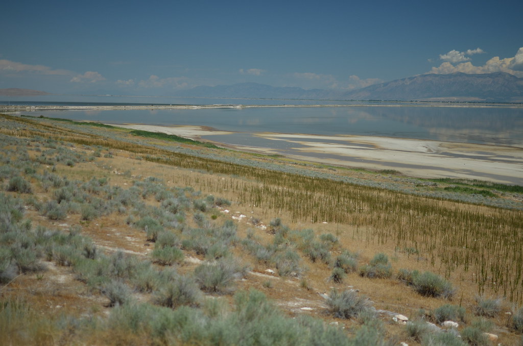 Antelope Island 300