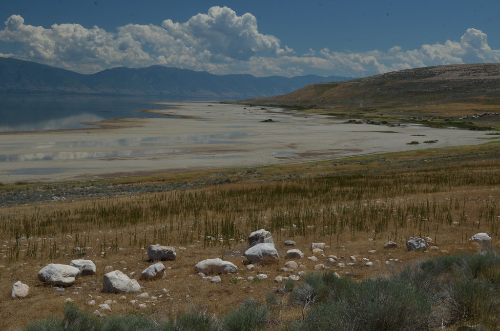 Antelope Island 296