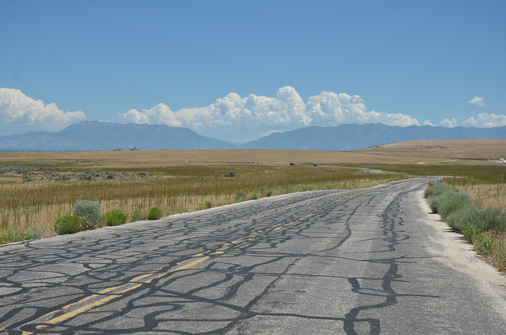 Antelope Island 291
