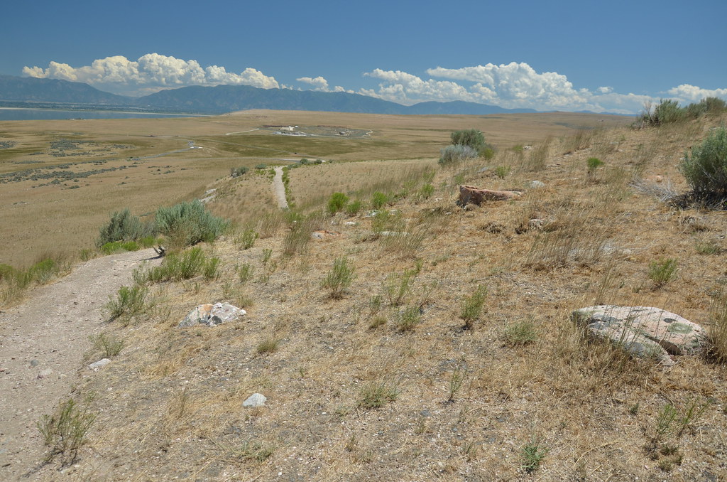 Antelope Island 275