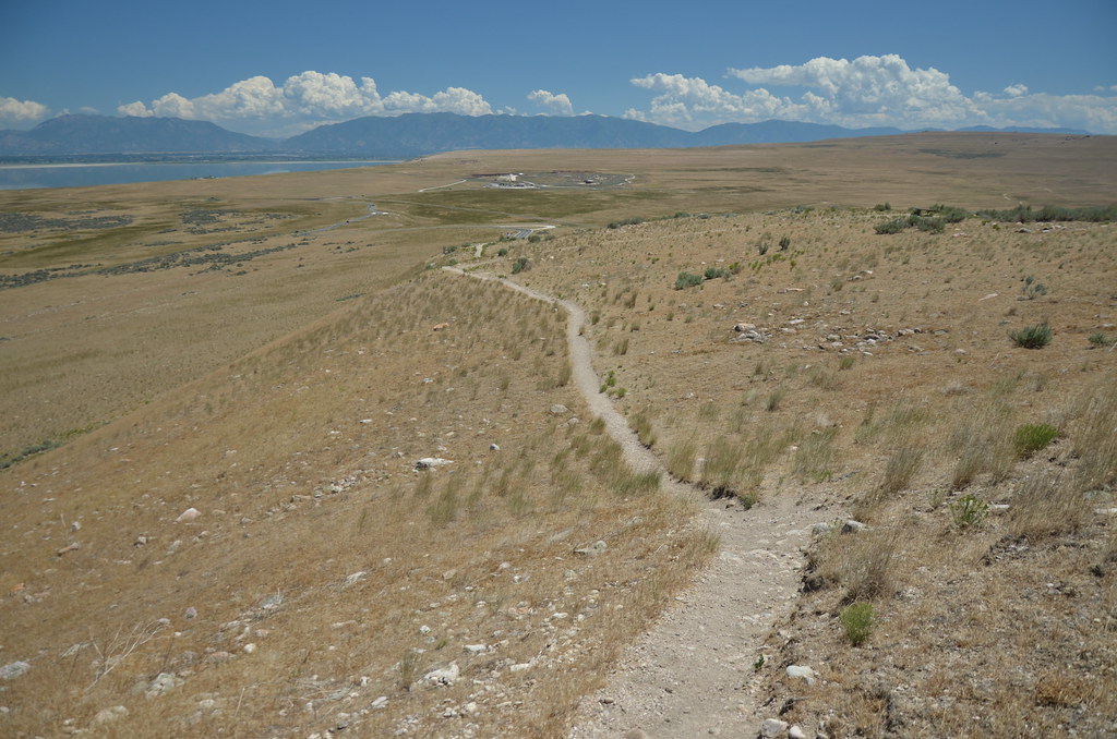 Antelope Island 267