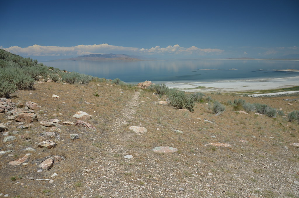Antelope Island 262