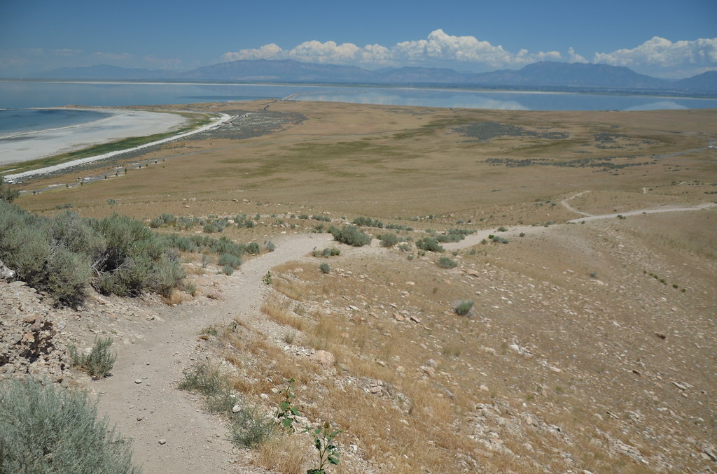 Antelope Island 261