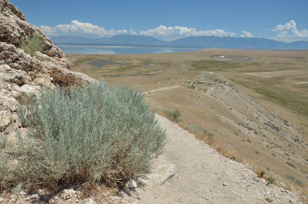 Antelope Island 260