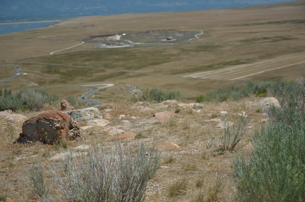 Antelope Island 257