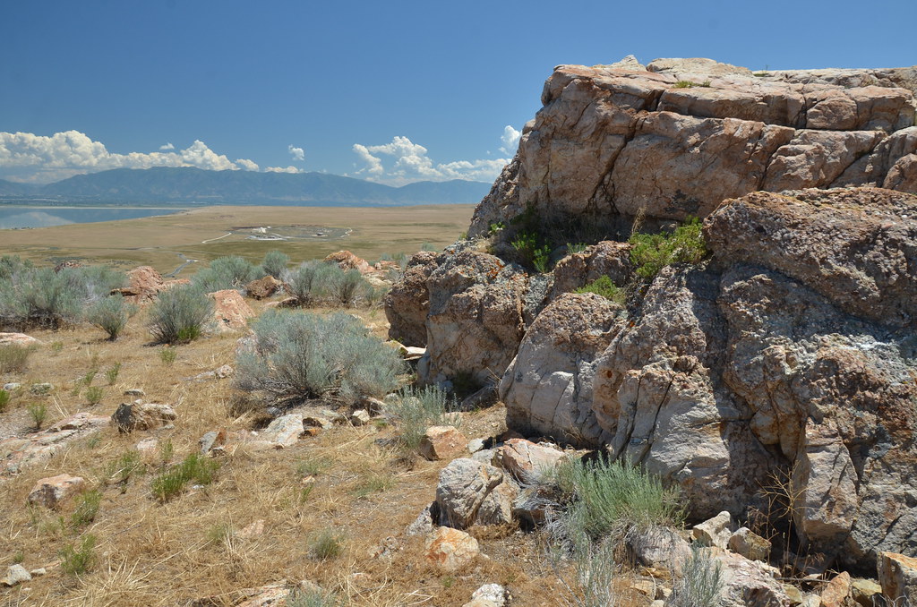 Antelope Island 231