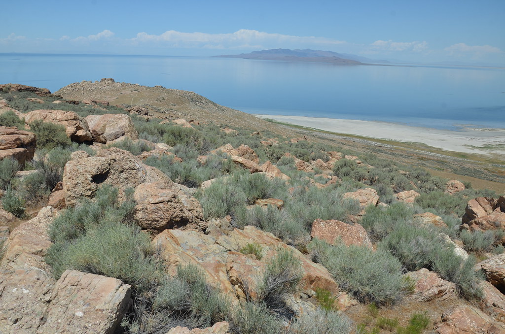Antelope Island 226
