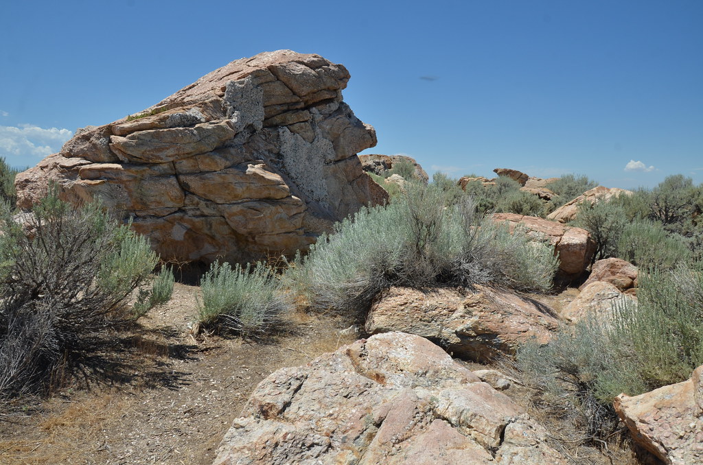 Antelope Island 223