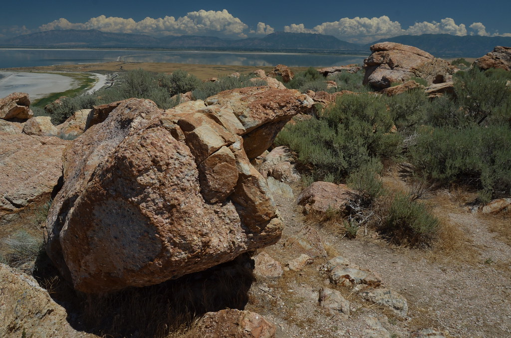 Antelope Island 205
