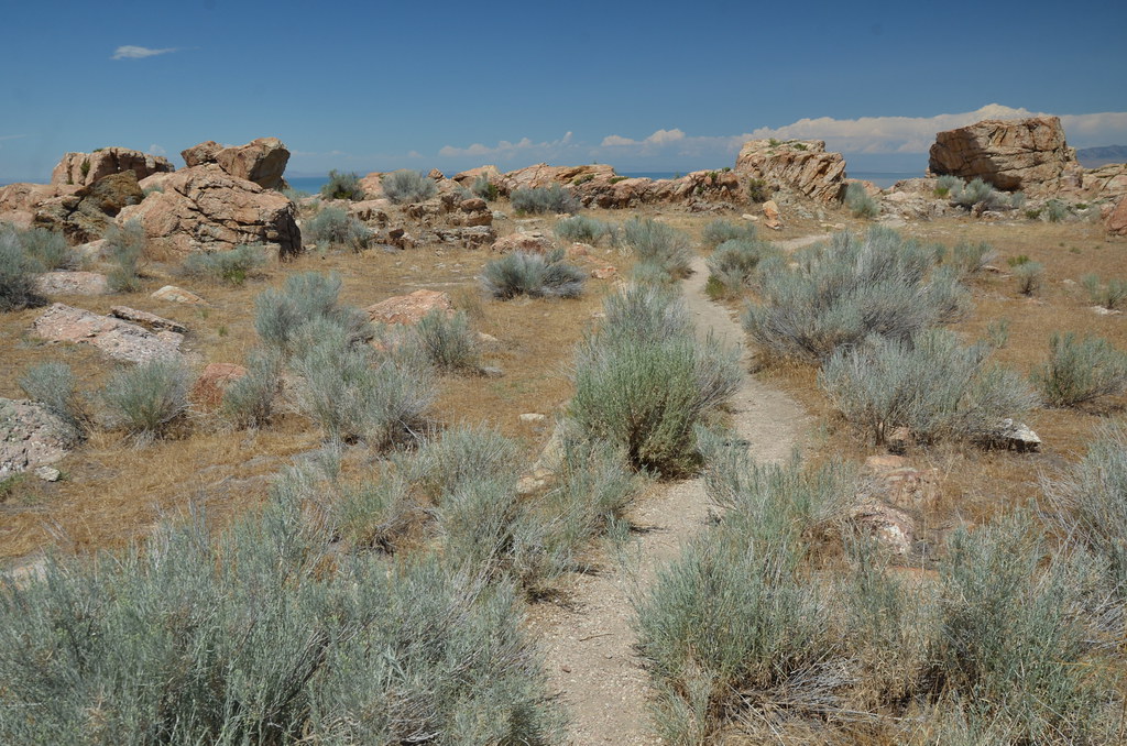 Antelope Island 202