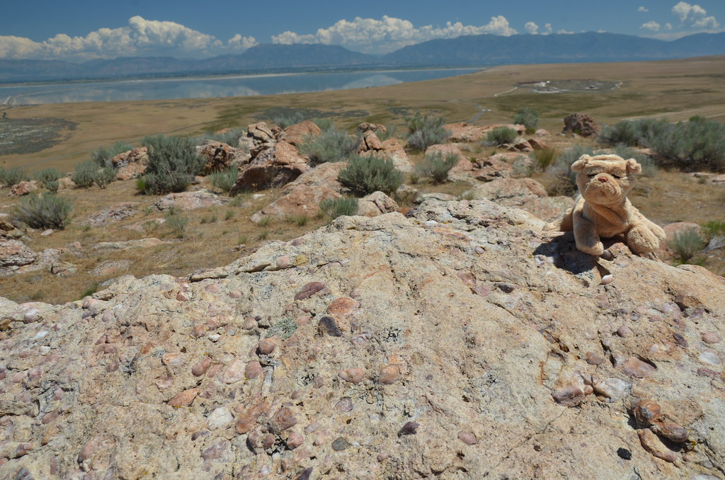 Antelope Island 199