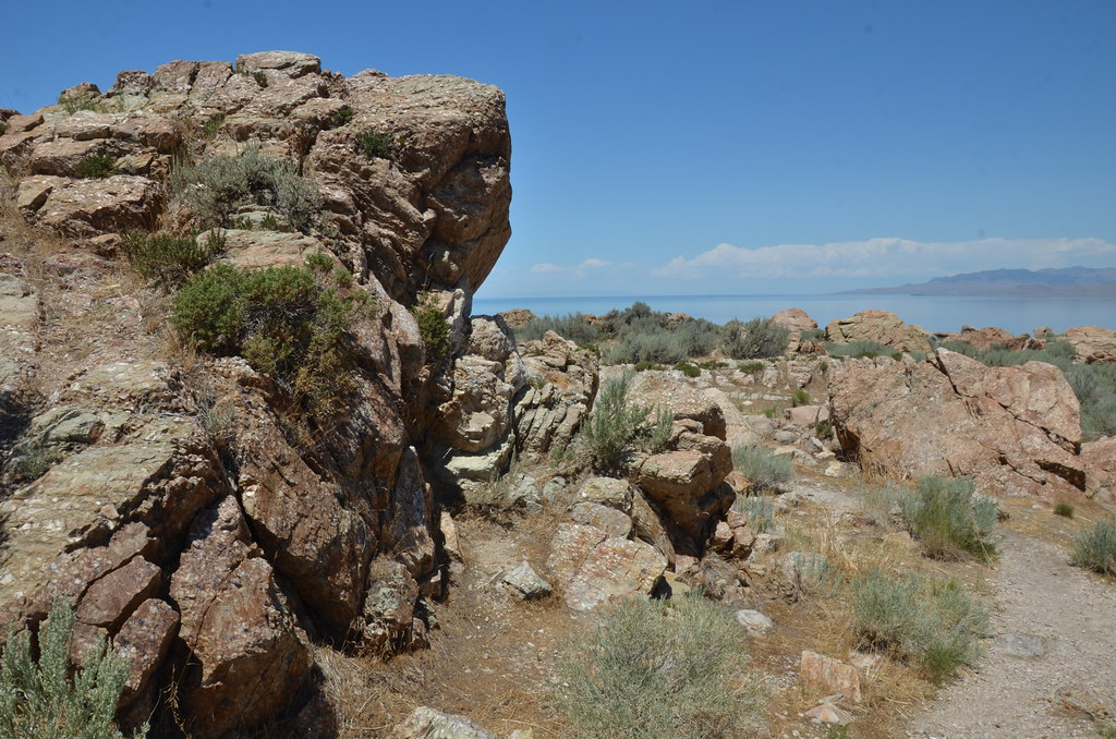 Antelope Island 196