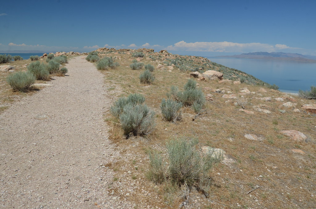 Antelope Island 190